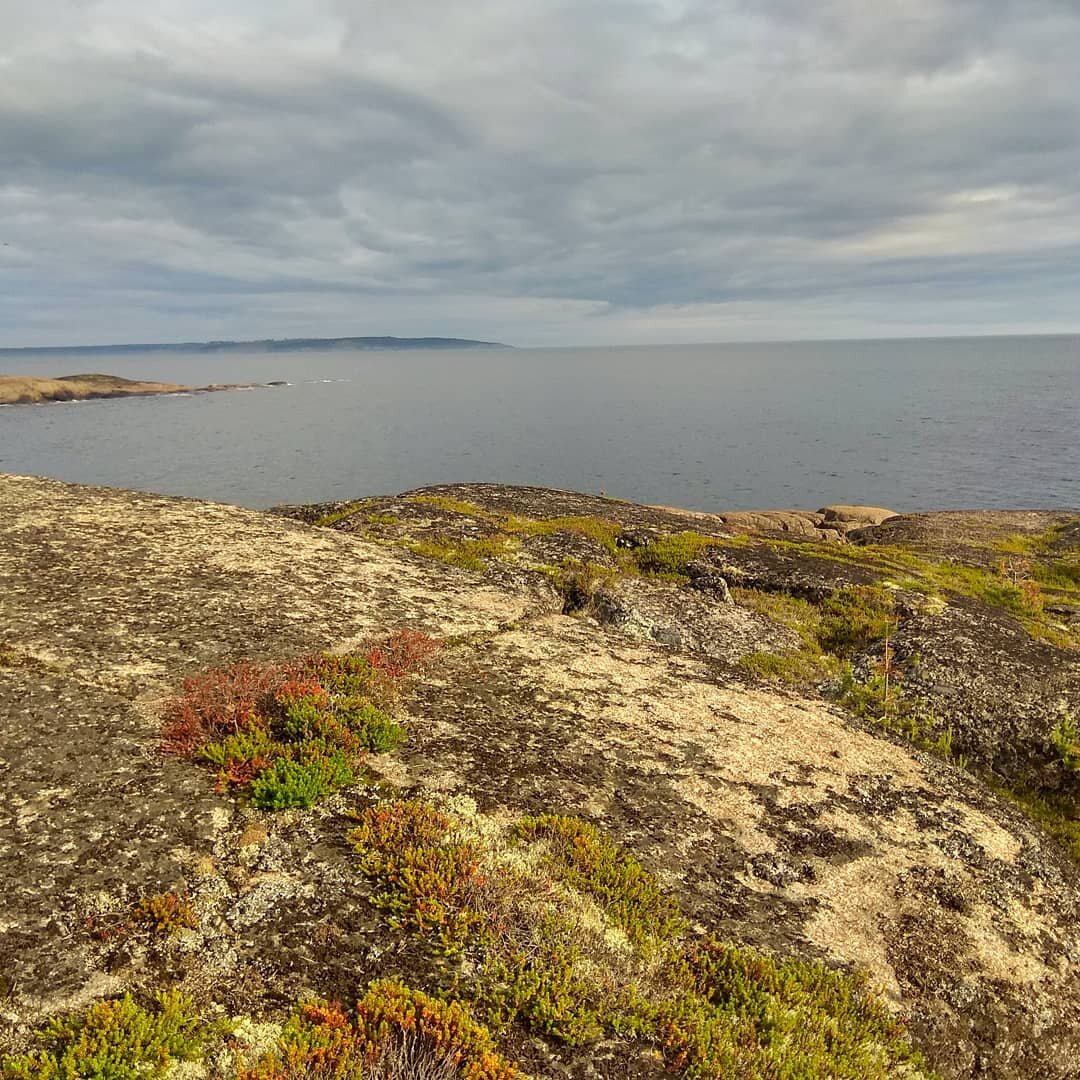 кольский полуостров белое море