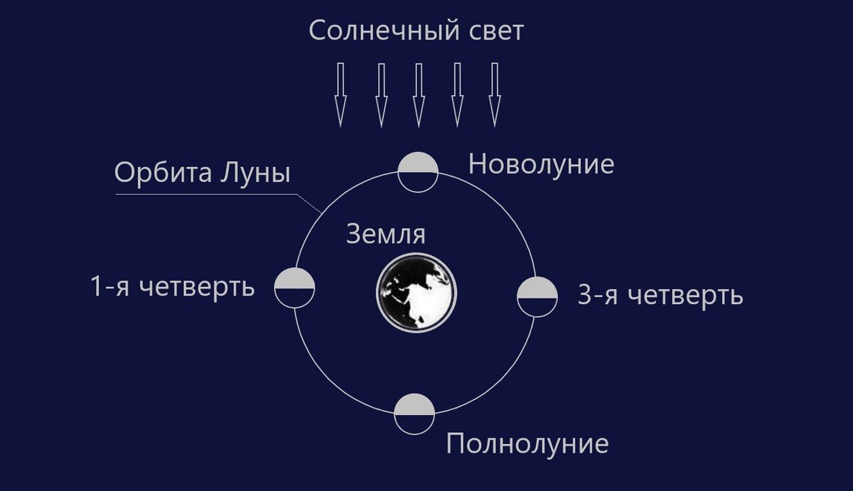 Фазы Луны зависят от положения спутника Земли относительно Солнца и нашей планеты.