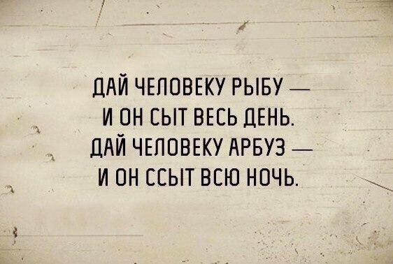 Убойный юмор - лучшие картинки рунета