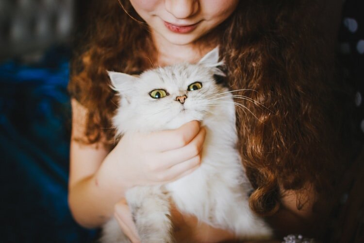 https://images.unsplash.com/photo-1455145914126-c357157e2db0?ixlib=rb-1.2.1&ixid=eyJhcHBfaWQiOjEyMDd9&auto=format&fit=crop&w=750&q=80