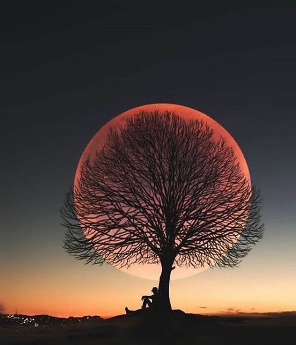 https://i.pinimg.com/736x/95/5f/f0/955ff0530fe137f8c8efcf3278de24b7.jpg