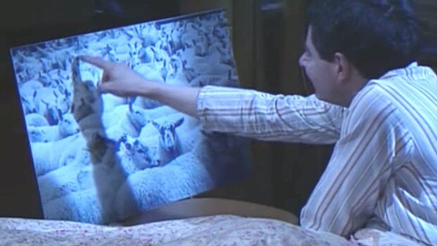 Считай, не считай. Уснуть не помогает (фото из открытого источника)