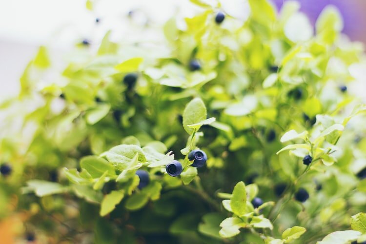 https://unsplash.com/photos/DlsOa5moK4w 