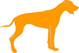 Посмотрите на картинку  1 раз и читайте текст