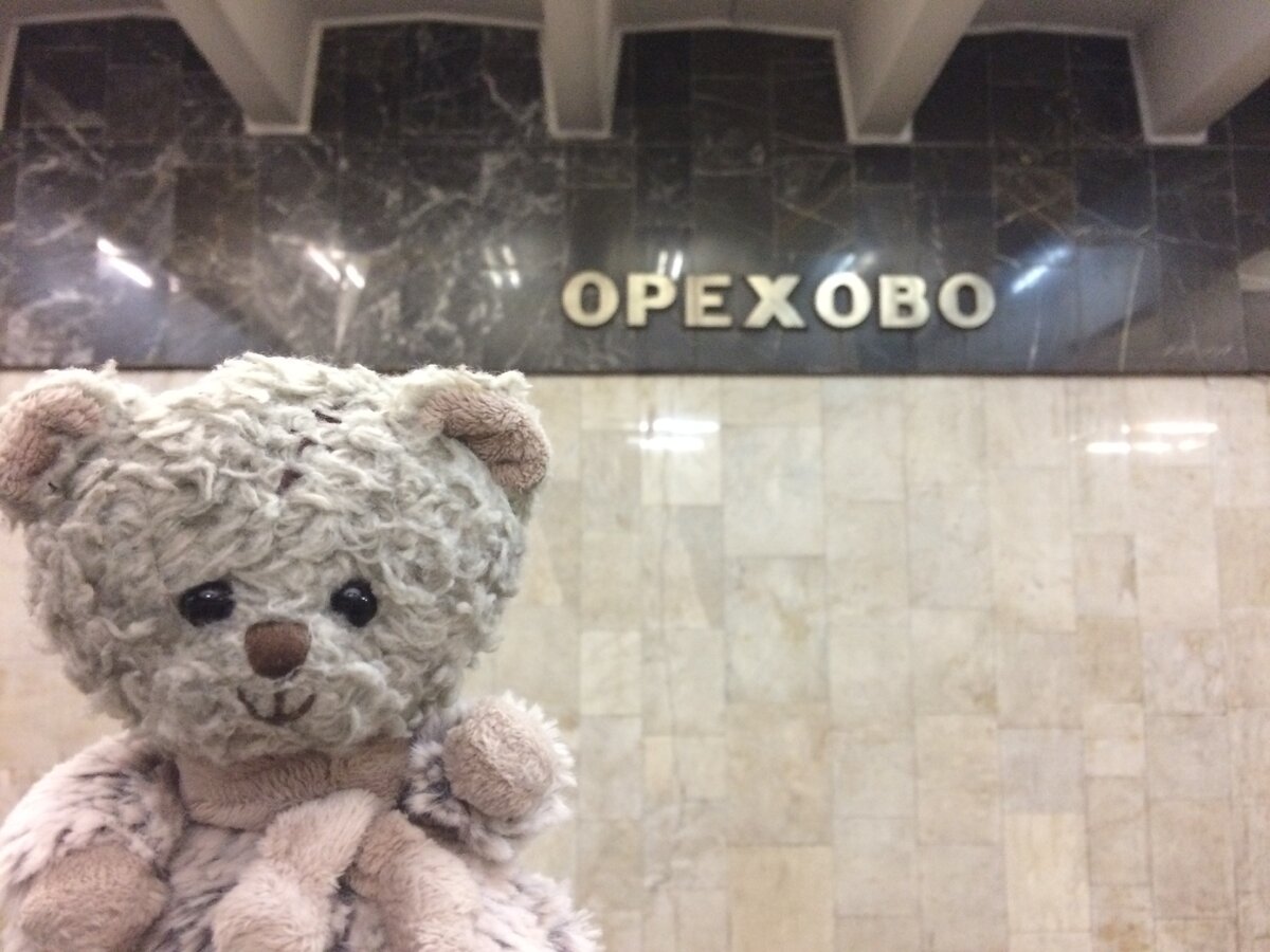 Начало маршрута - станция "Орехово"