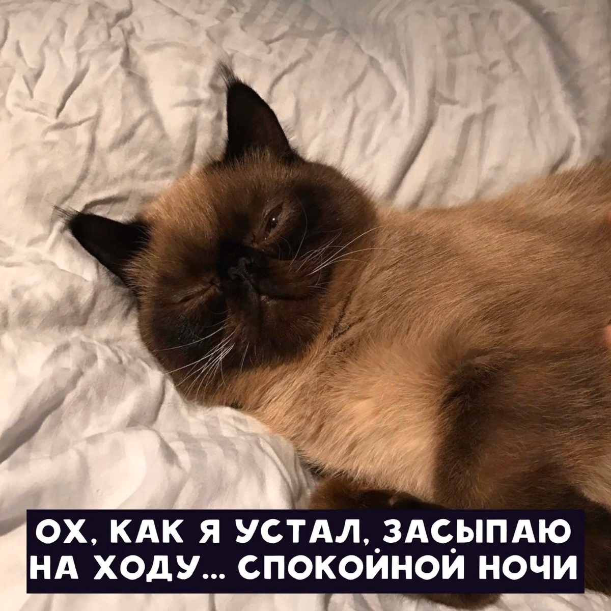 Она скорее всего довольная 