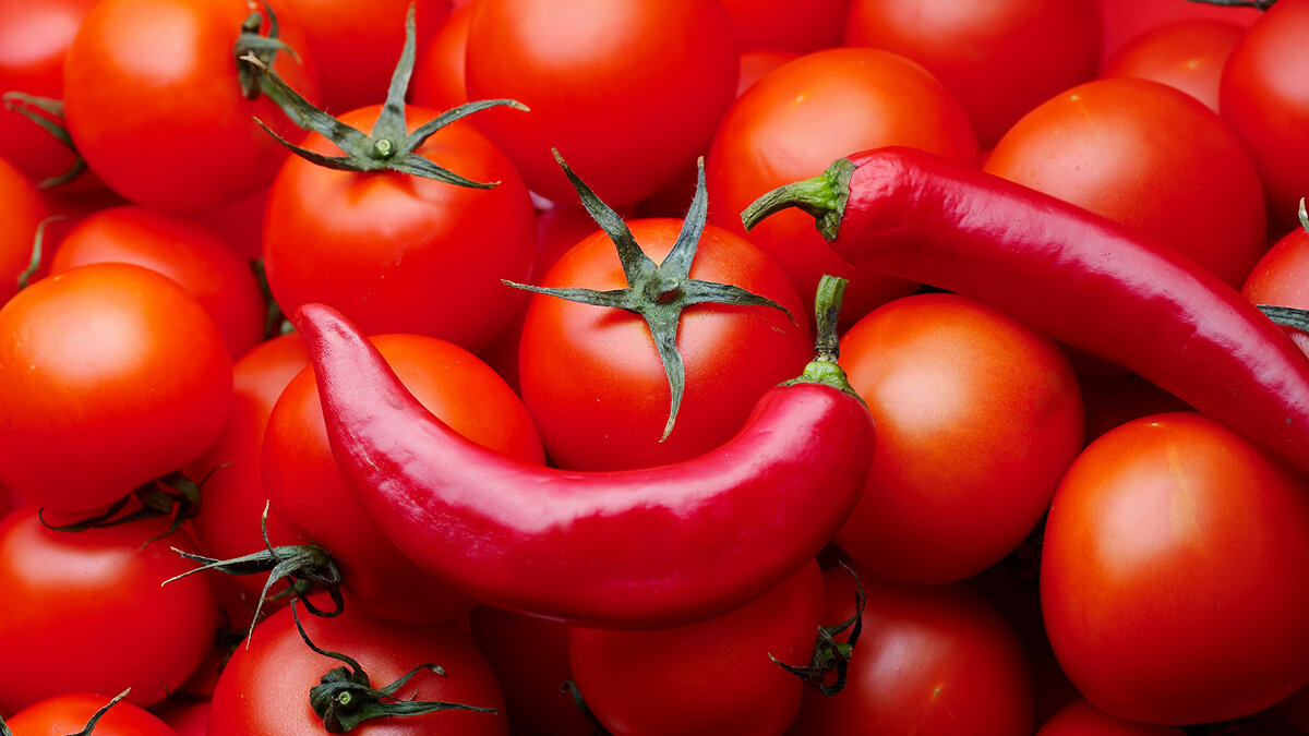 (Яндекс.картинки) Интересные Факты