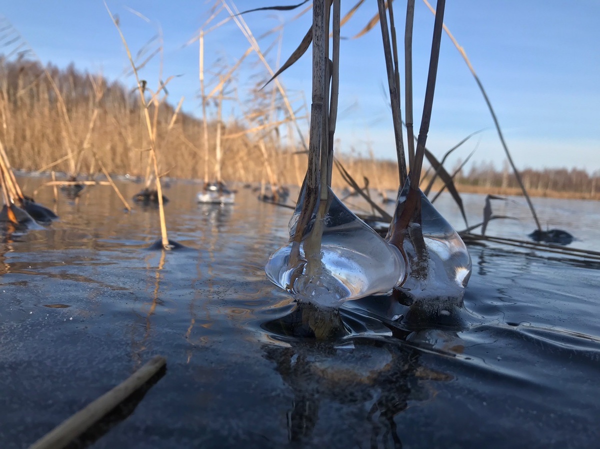 Мороз даёт о себе знать