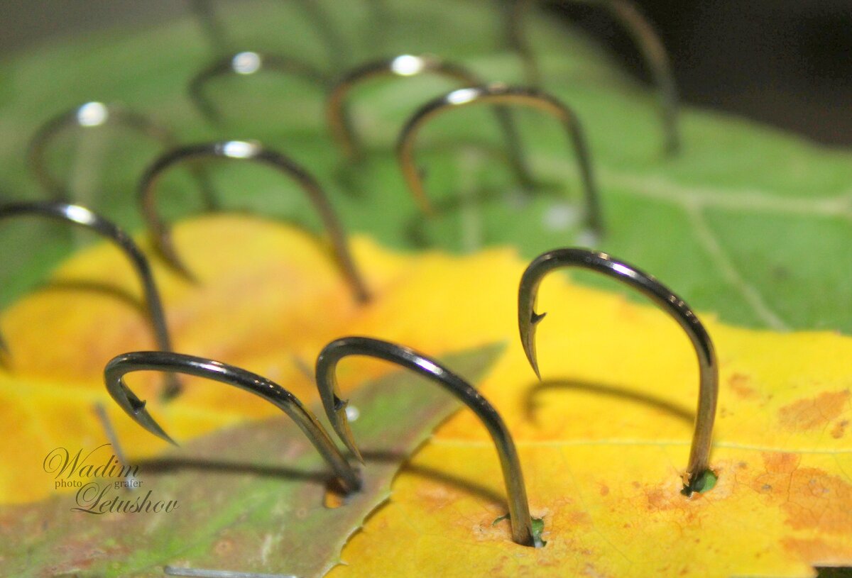 Автор фото Вадим Летюшов 