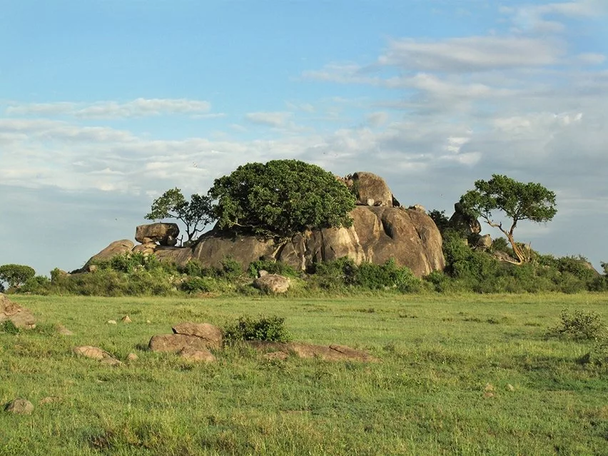 Национальный парк Серенгети