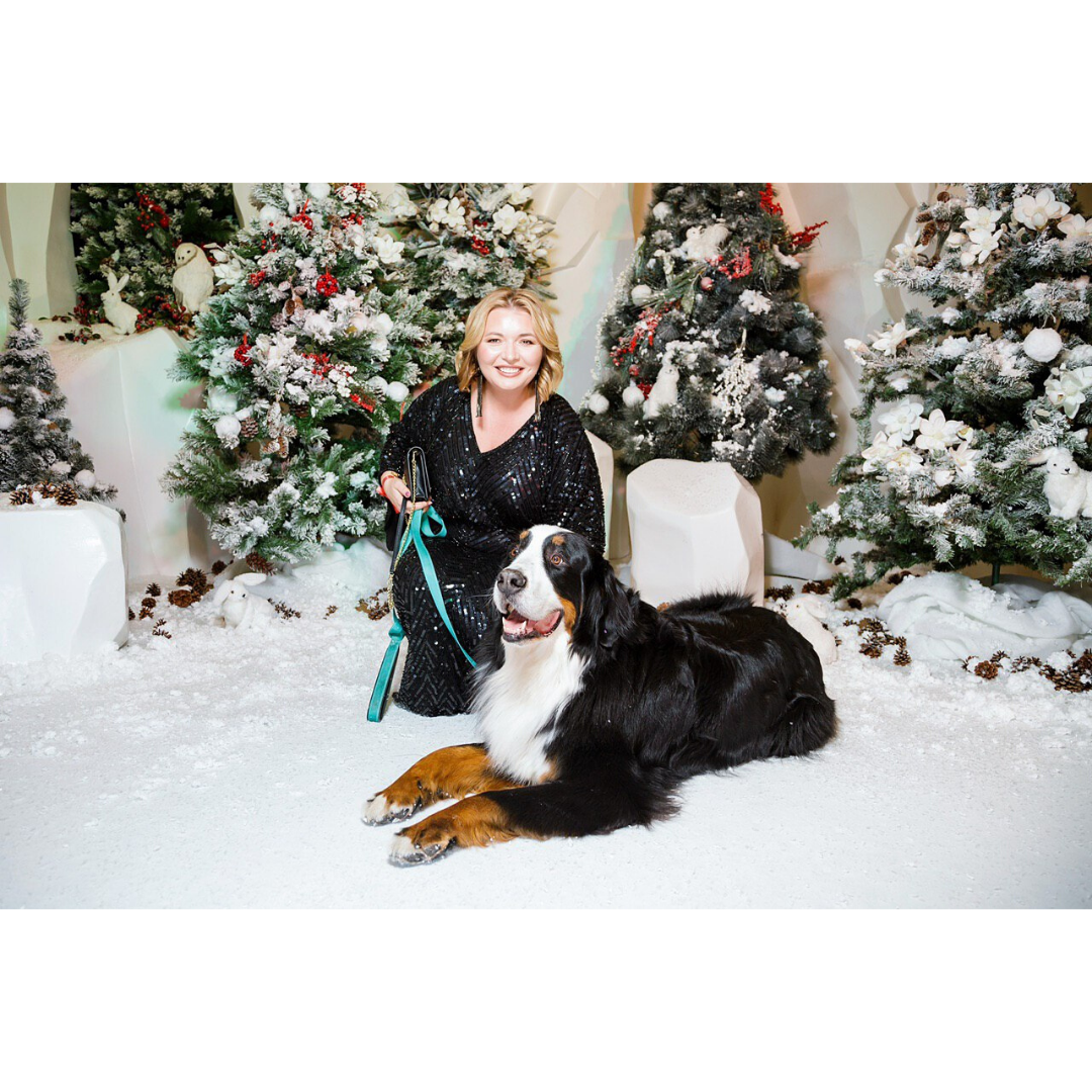 Кассиус, любимец Посла Швейцарии