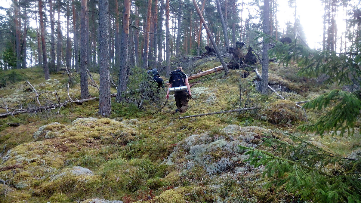 Камни, буреломы, болота.