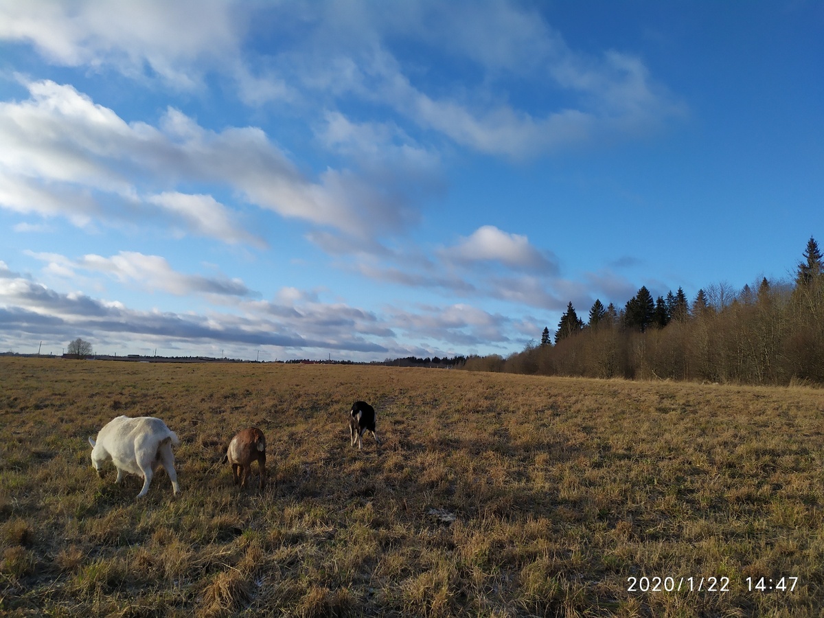 Мирное небо без вирусов))) 
