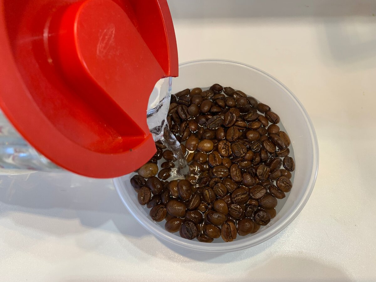 Фото сделано автором (залила водой)