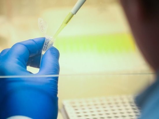 фото: АГН «Москва»