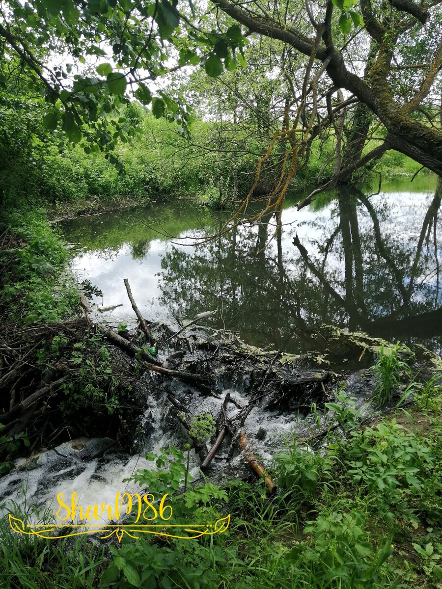 **ЛИЧНОЕ ФОТО**