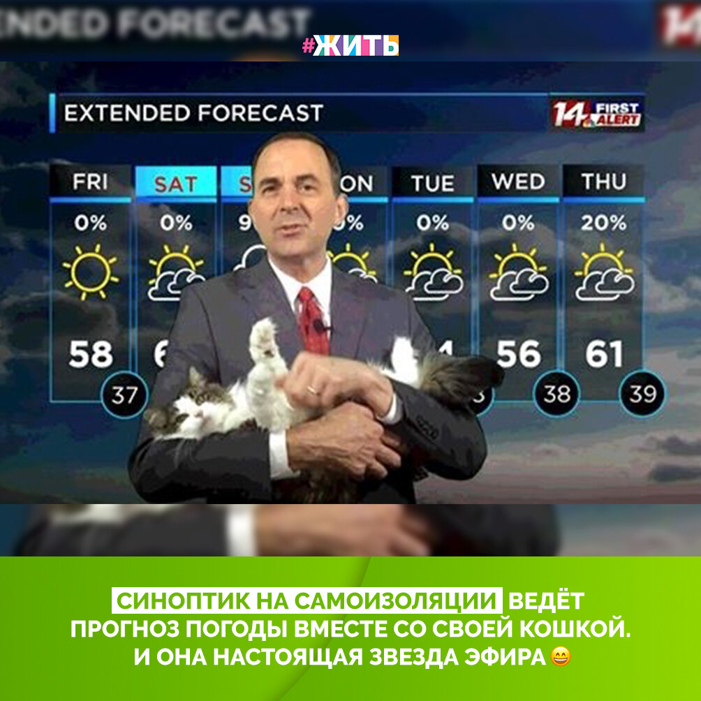 
Во время самоизоляции  многие люди работают из дома, и домашние питомцы становятся для них настоящими коллегами. А для ведущего прогноза погоды его кошка стала не просто коллегой. Она теперь звезда эфира!😻

Домашние питомцы скрашивают трудовые будни на удаленной работе не только ведущим прогноза погода, и выглядит это очень забавно. А ваши любимцы участвуют в рабочем процессе?☺️

#жить #проектжить #коронавирус #мирмыстобой #всебудетхорошо #житьнакарантине