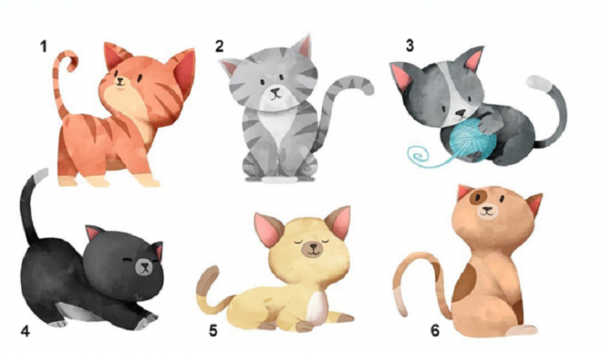 Игра 6 кошек. Выбери кошку. Тест выбери кошку. Тест выбери кошку и узнай. Выбрать кошку тест.