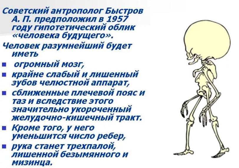 Человек будущего рисунок по биологии