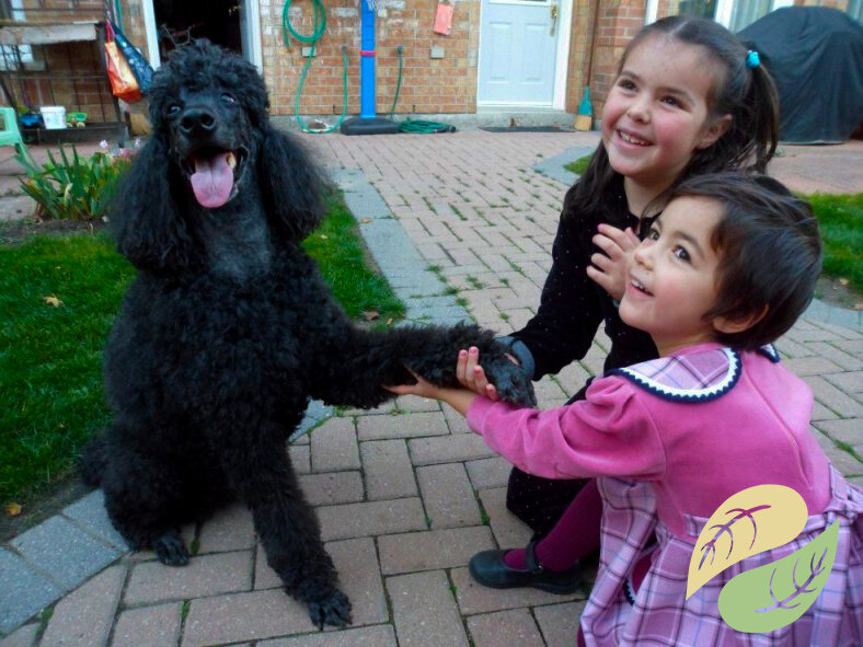 Только посмотрите как они мило улыбаются