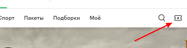 мегафон тв (личное фото).