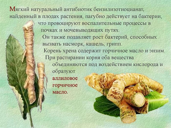 Из поисковой системы