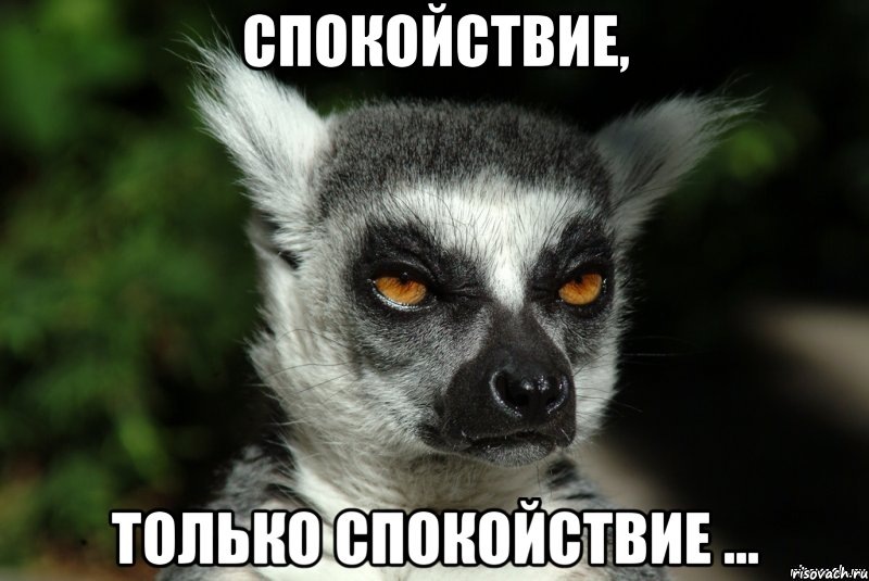 Первая консультация психолога онлайн БЕСПЛАТНО. Оставьте заявку на сайте https://livedecision.ru/