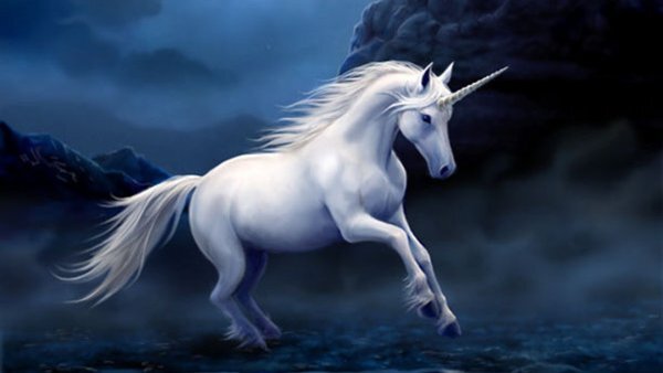 Unicorn (единорог) — так называют стартап с оценкой более $1 млрд 