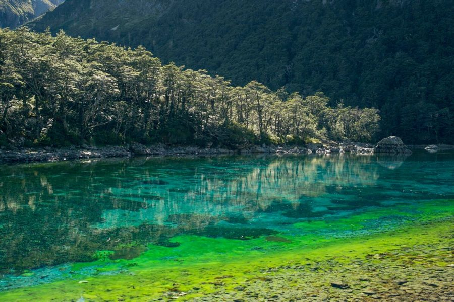 Голубое озеро Нельсон в новой Зеландии. Парк Нельсон-Лейкс. Нельсон-Лейкс голубое озеро. Голубое озеро, национальный парк Нельсон-Лейкс, новая Зеландия. Водоемы нашей планеты