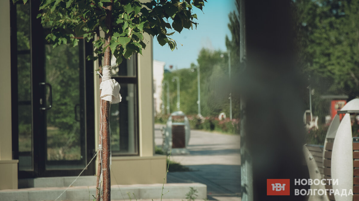 Парк им. Юрия Гагарина в Волгограде, фото: novostivolgograda.ru