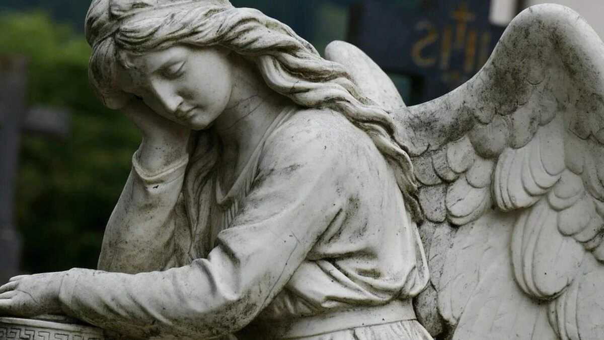 Фото взято из открытых источников интернета pixabay.com