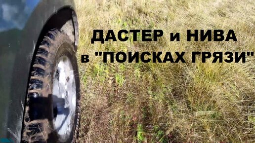 DUSTER и НИВА в 