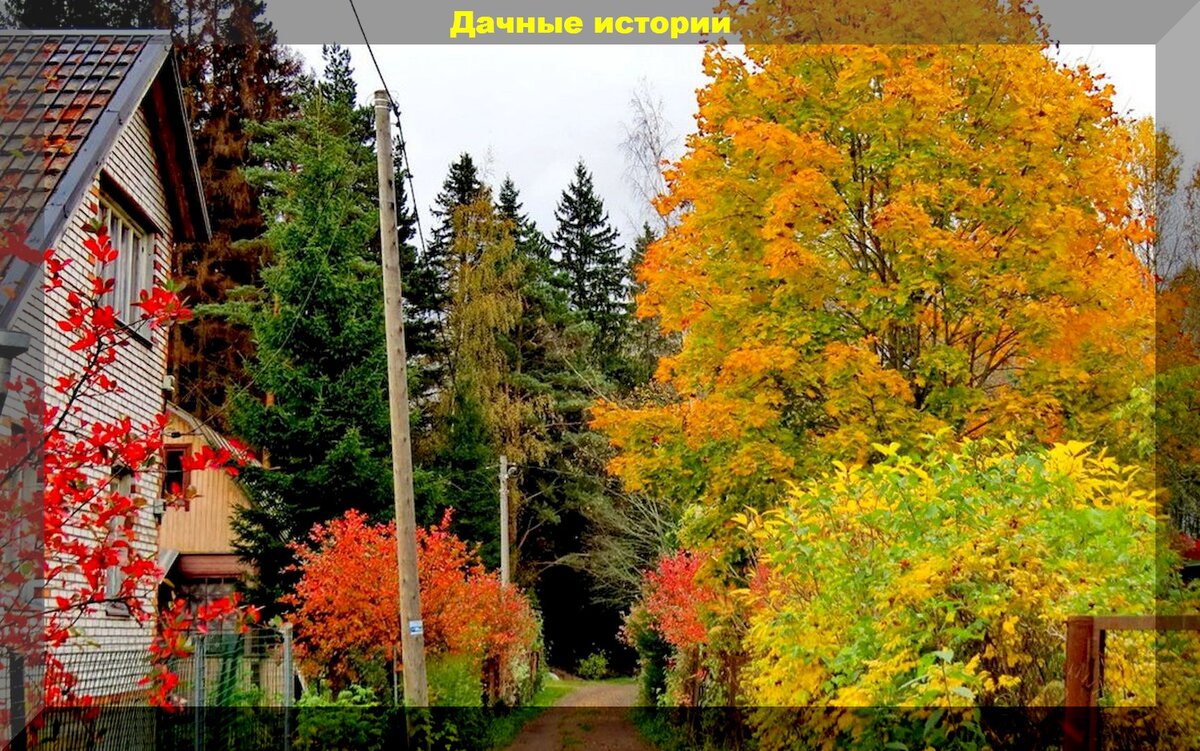 https://vk.com/photo-159774511_457249483