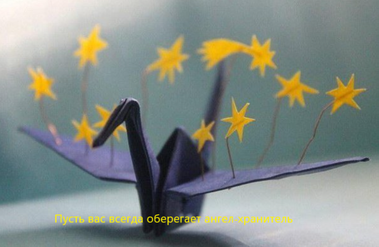 Фото из открытых источников интернета