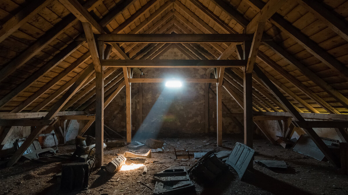 Фото из открытых источников Яндекса