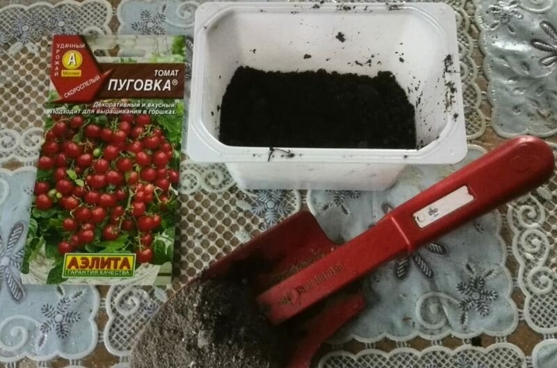 В такую емкость сею семена томатов.