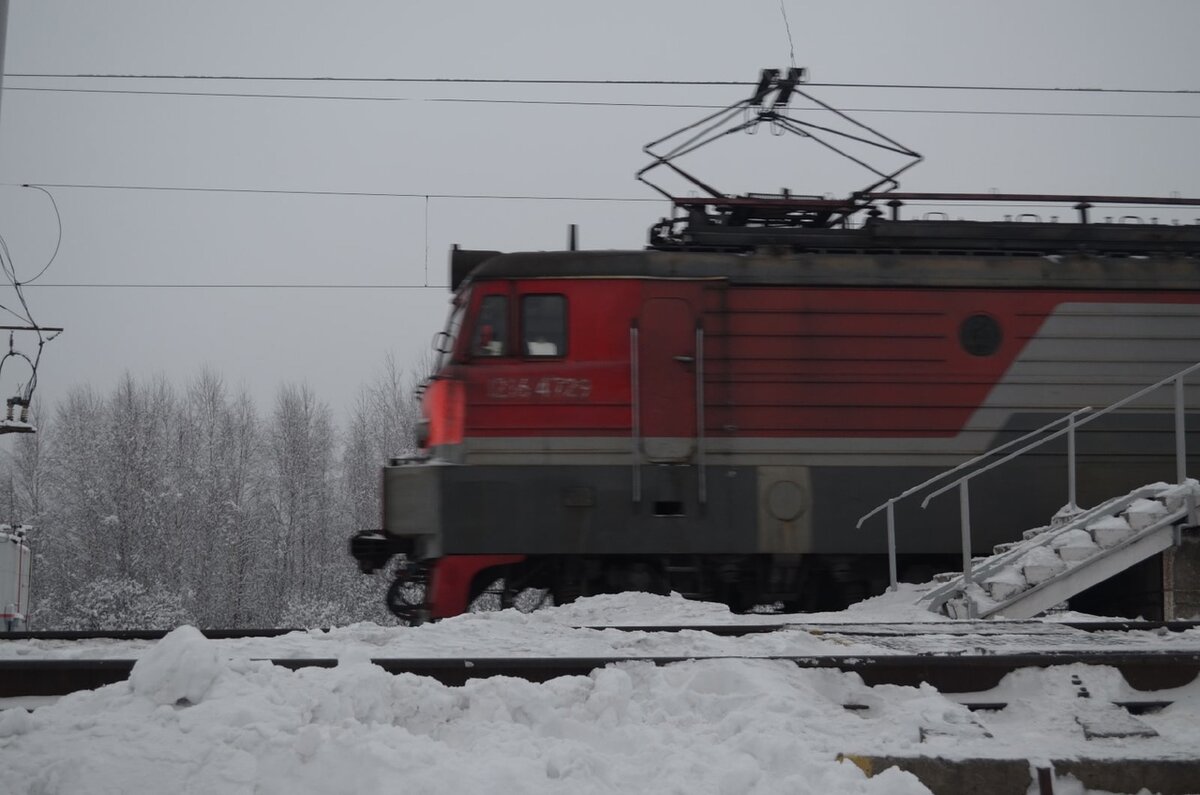 Станция Торфопродукт на фоне зимнего леса, 12.12.2021 | Железнодорожье и  его окрестности | Дзен