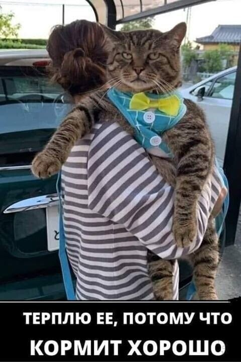 Источник https://www.pinterest.ru