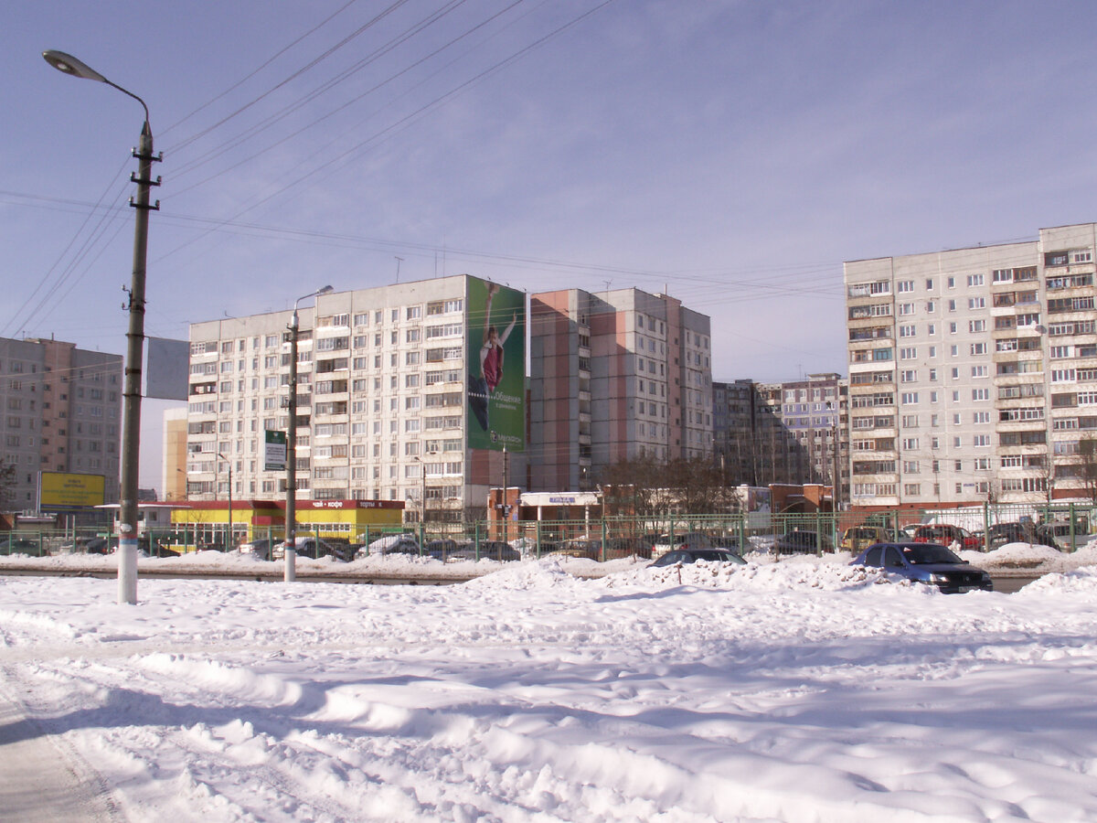 Фото автора. 3 марта 2009 года. Тула, Глушанки