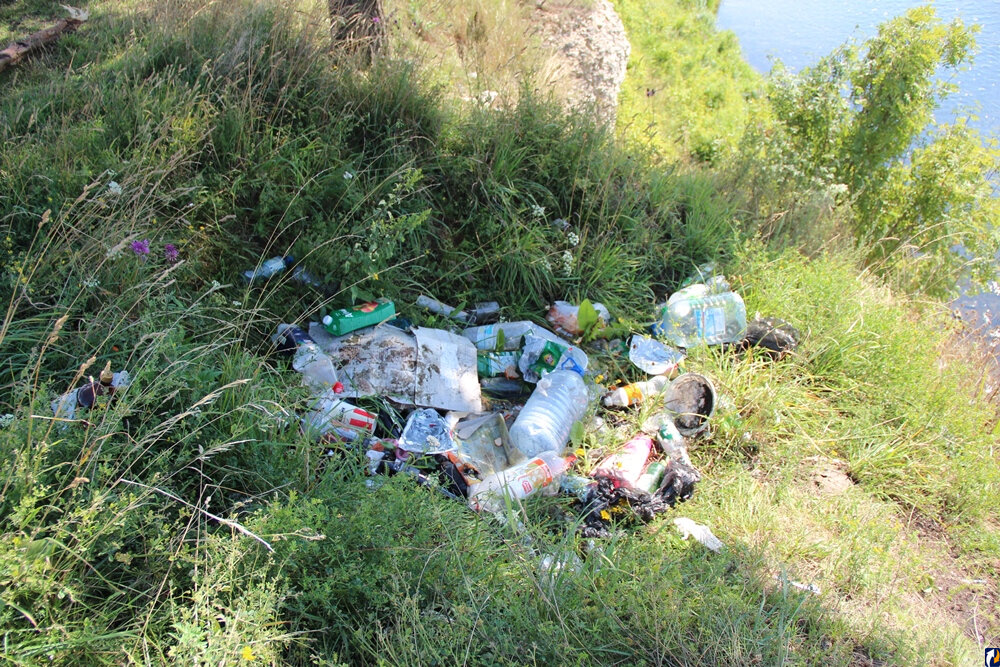 Вот такие залежи мусора можно встретить на берегах наших водоёмах. Источник фото businesspskov.ru