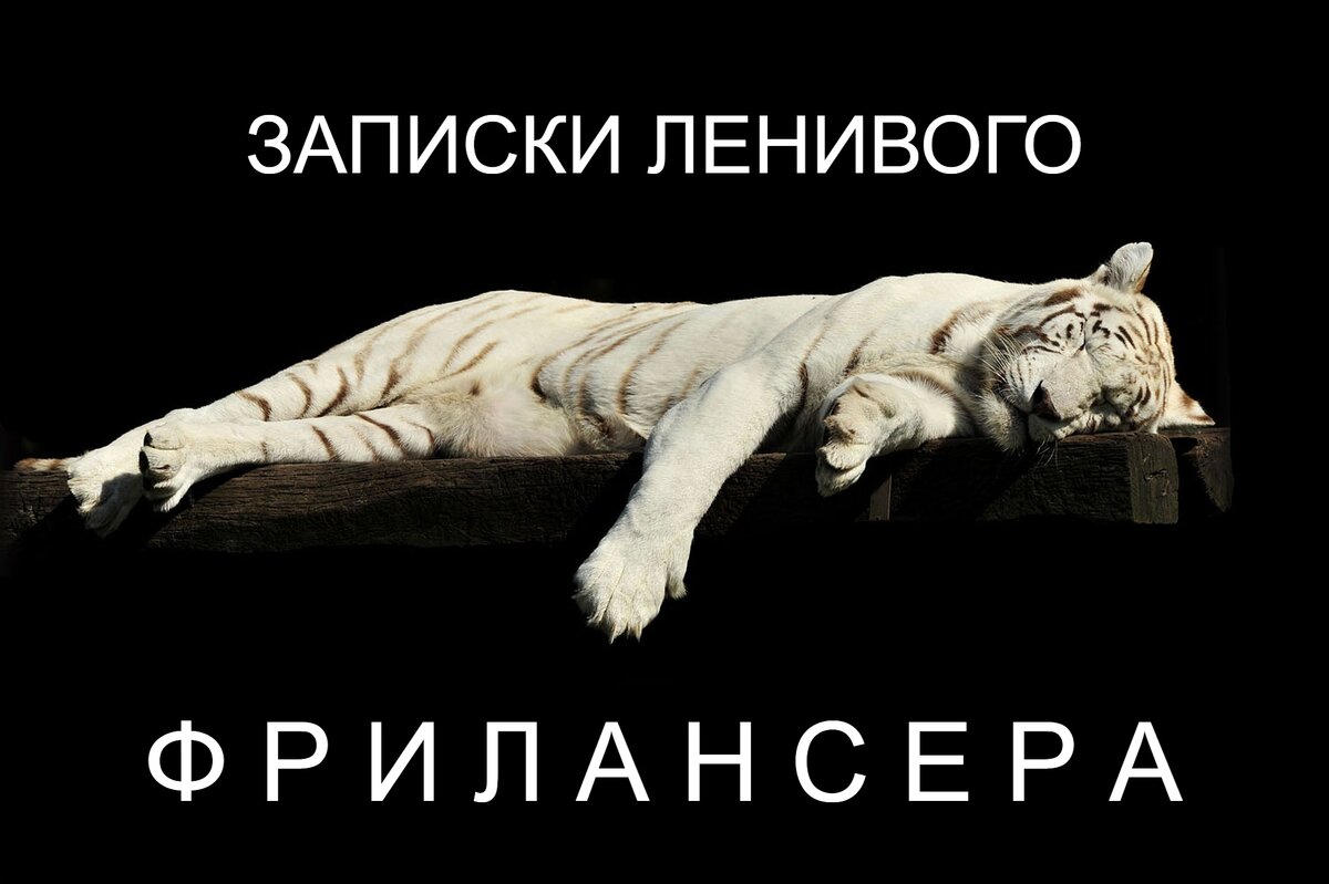 Я стал фрилансером когда мне было 40 с хвостиком. Точнее, с хвостом. Ну а ежели быть еще точнее, то с хвостищем. 