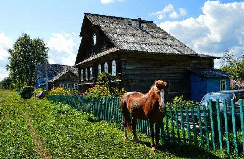 жизнь в деревне, фото Николая Тишина