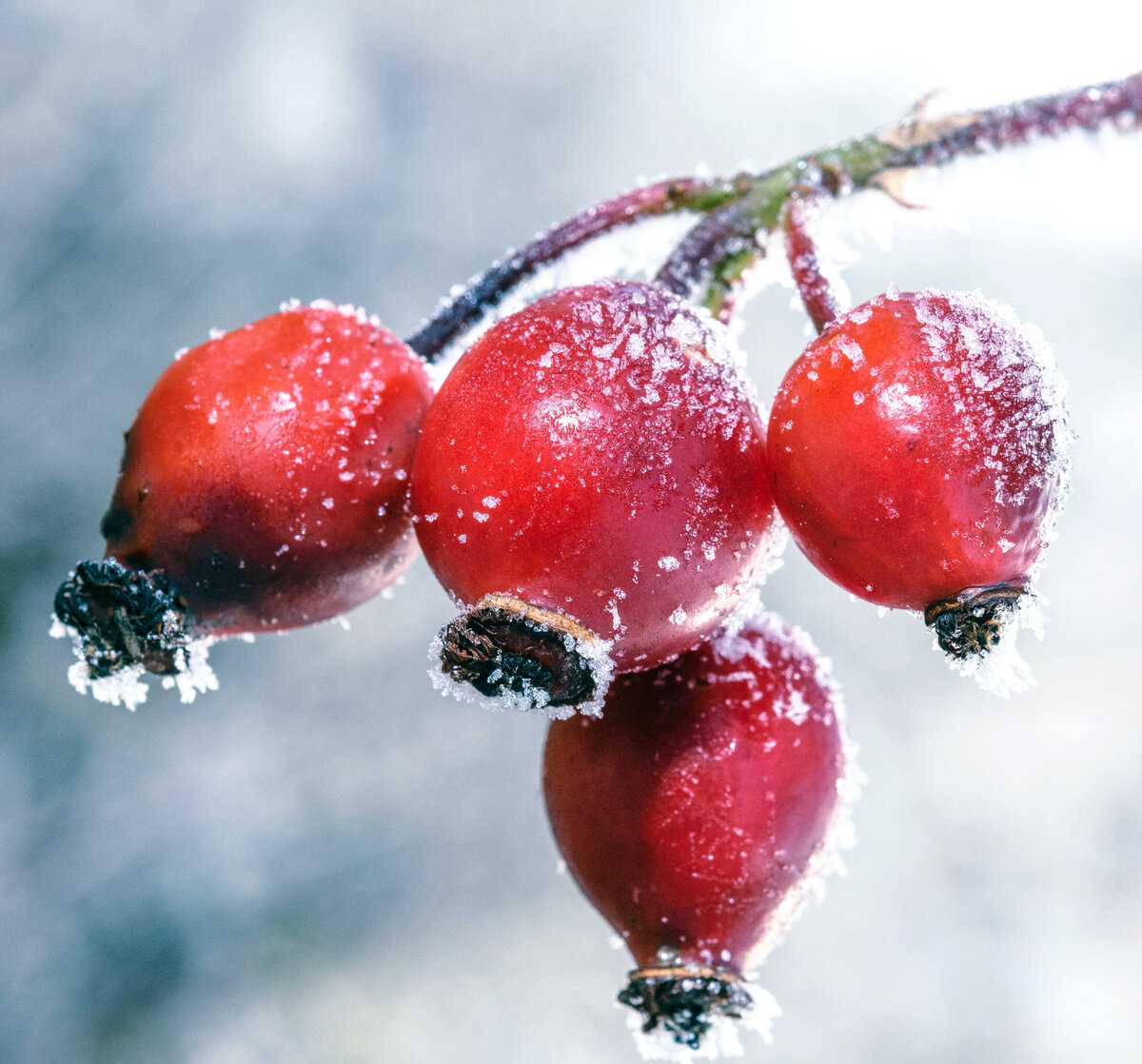 Фото автора PhotoMIX Company: Pexels