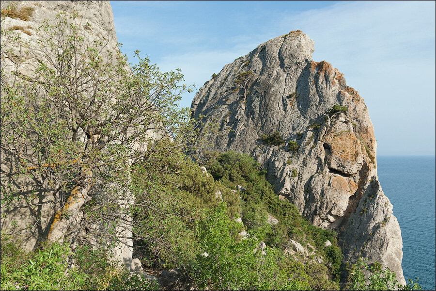 Парадиз днр. Набережная 17а новый свет Paradise Crimea.