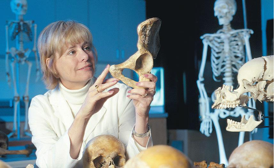 Кэти райх. Кэти Райкс кости. Кэти Райт антрополог. Судебный антрополог Кэти Райх.