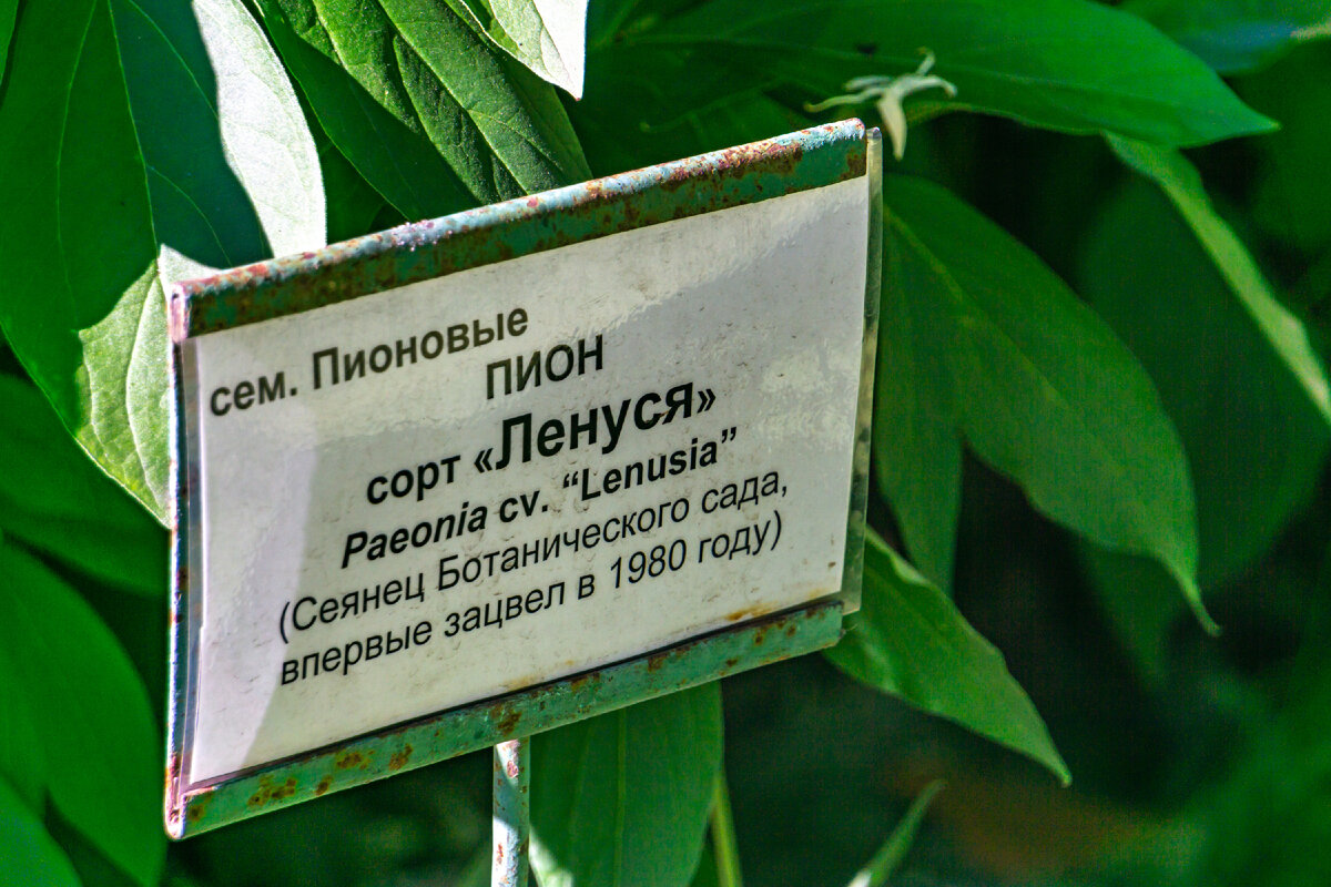 все фото в статье из семейного архива