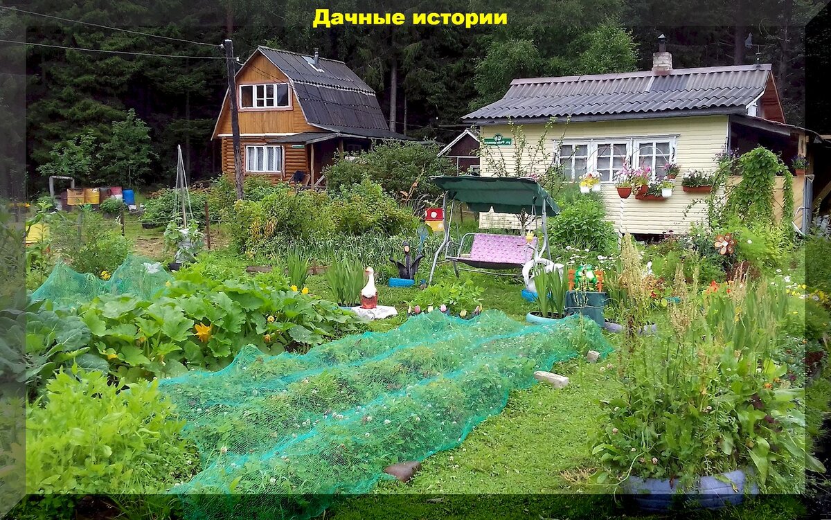 https://vk.com/photo-159774511_457254475