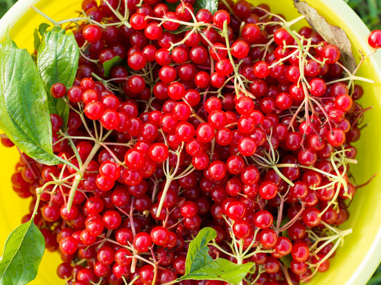     Фото: @nikitabuida, freepik.com.