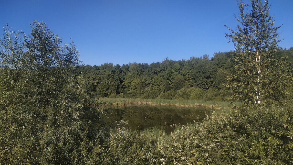 Здравствуй парк, я соскучился)