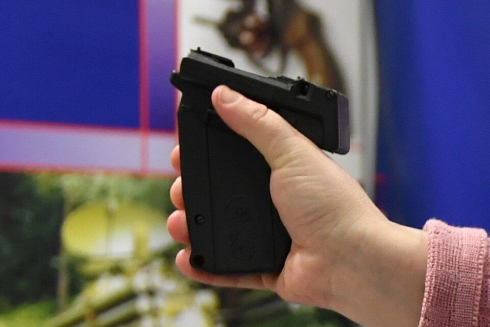     Следствие считает, что полицейские пристегнули дебошира наручниками и ударили шокером Михаил ФРОЛОВ